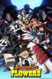 Shaman King: Flowers Episodios