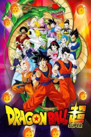 Dragon Ball Super Episódios