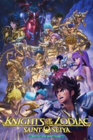 Knights of the Zodiac: Saint Seiya – Battle for Sanctuary Part 2