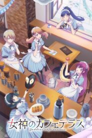 Megami no Café Terrace 2nd Season – Todos os Episodios